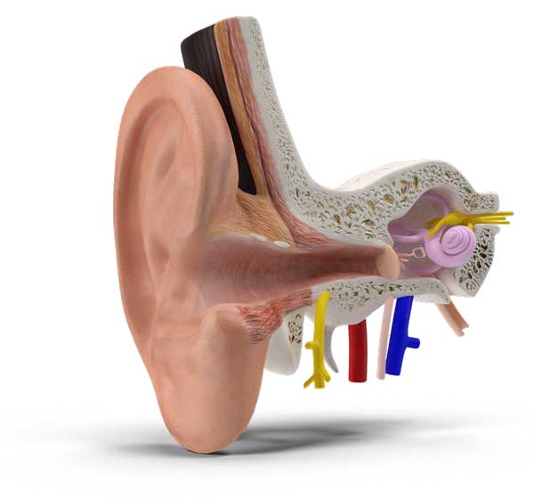 Alton Physical Therapy BPPV - Vertigo